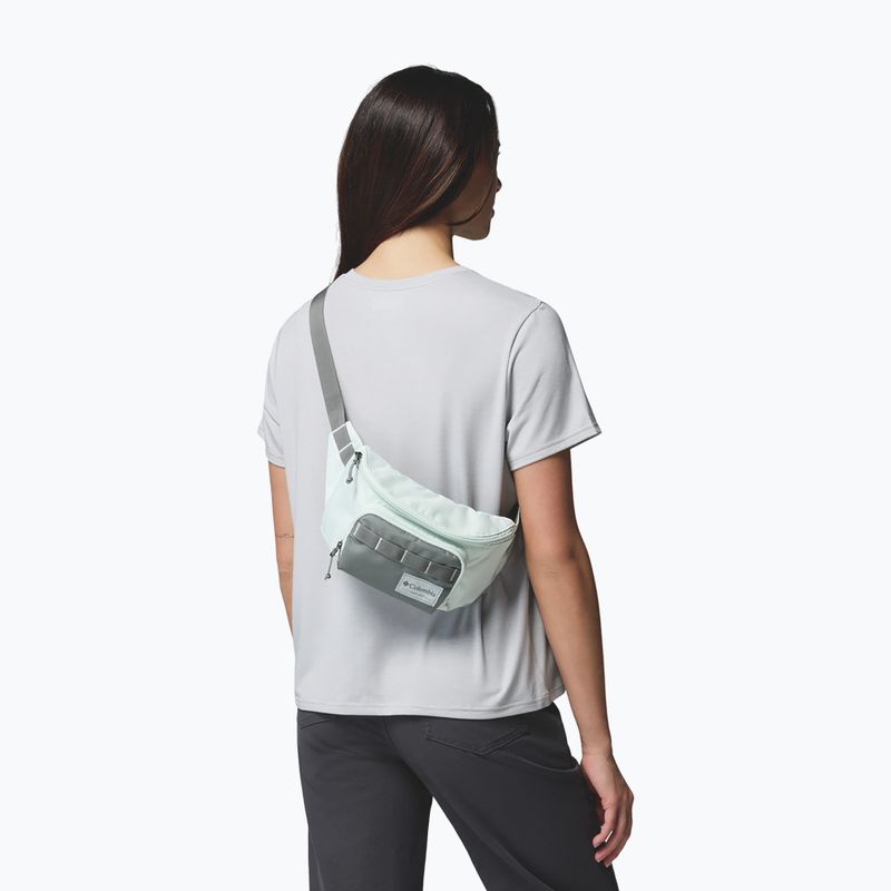 Juosmes krepšys Columbia Zigzag II Hip Pack 1 l sedona sage/tea light 6