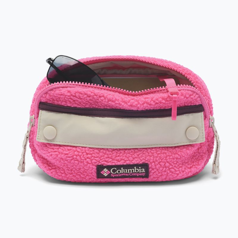Juosmes krepšys Columbia Helvetia II Hip Pack 1 l nico/dark stone 3