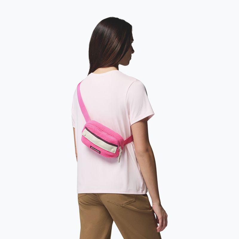 Juosmes krepšys Columbia Helvetia II Hip Pack 1 l nico/dark stone 6