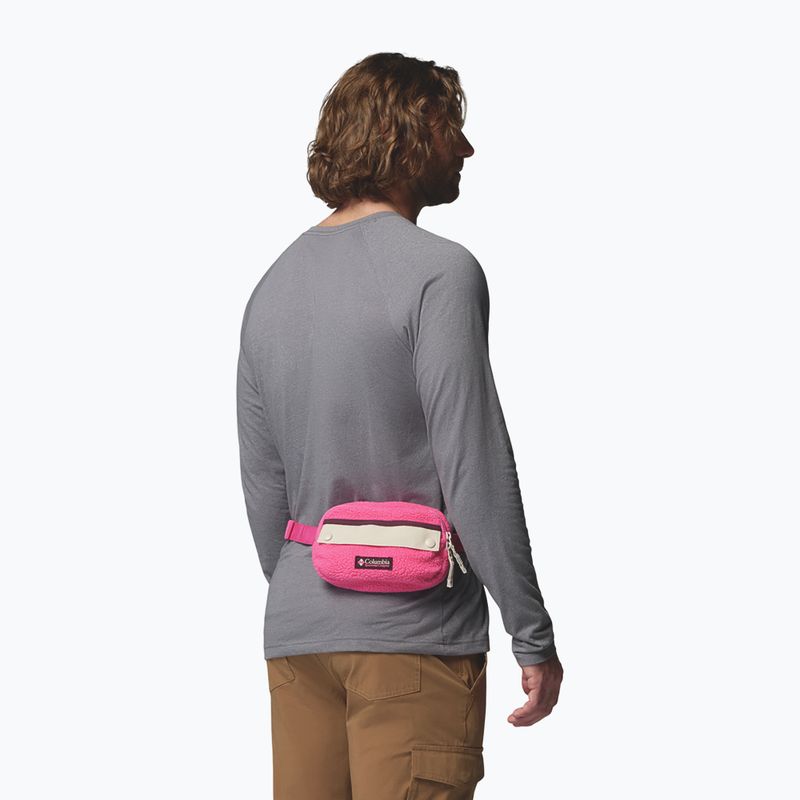 Juosmes krepšys Columbia Helvetia II Hip Pack 1 l nico/dark stone 8
