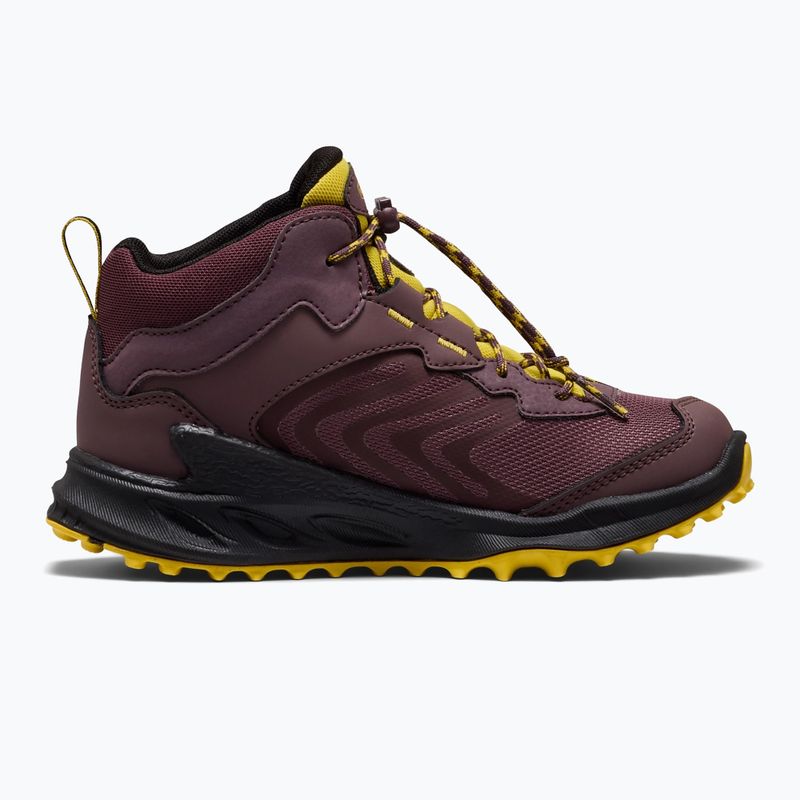 Vaikiški žygio batai KEEN Zionic Mid Wp huckleberry/mango mint 3