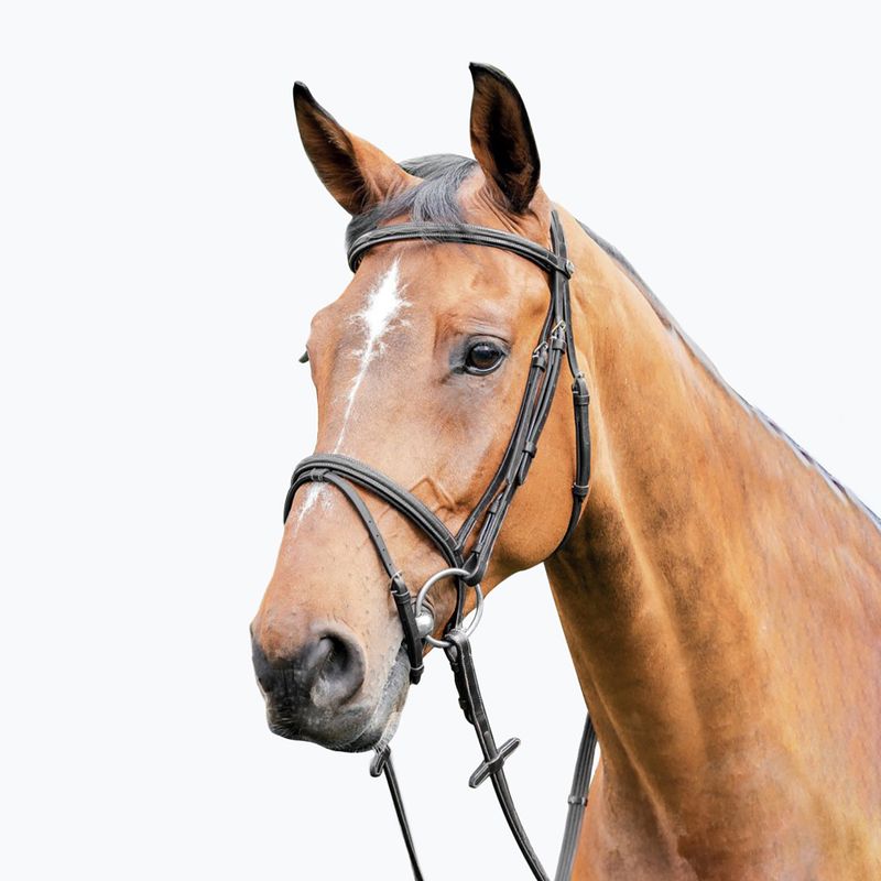 Prestige Italia juoda E87 arklio apykaklė
