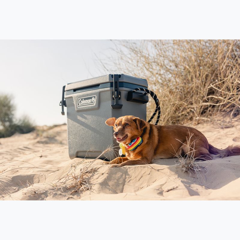 Turistinis šaldytuvas Coleman Convoy 28Qt 29 l 16