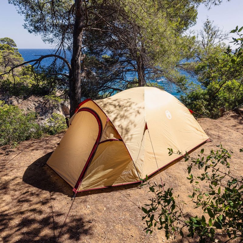 3 vietų stovyklavimo palapinė Coleman Darwin Summer 3 + beige 8