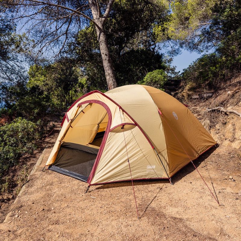 4 vietų stovyklavimo palapinė Coleman Darwin Summer 4 + beige 8