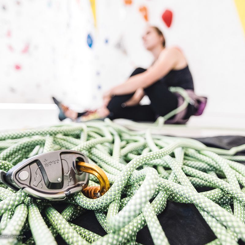 Petzl Grigri + pilkasis tvirtinimo įtaisas D13A G 6