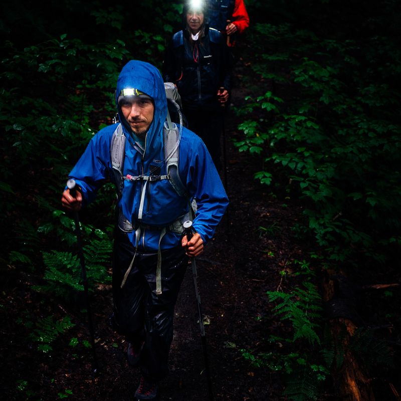 Petzl Tikka galvos žibintuvėlis geltonas E061AA03 4