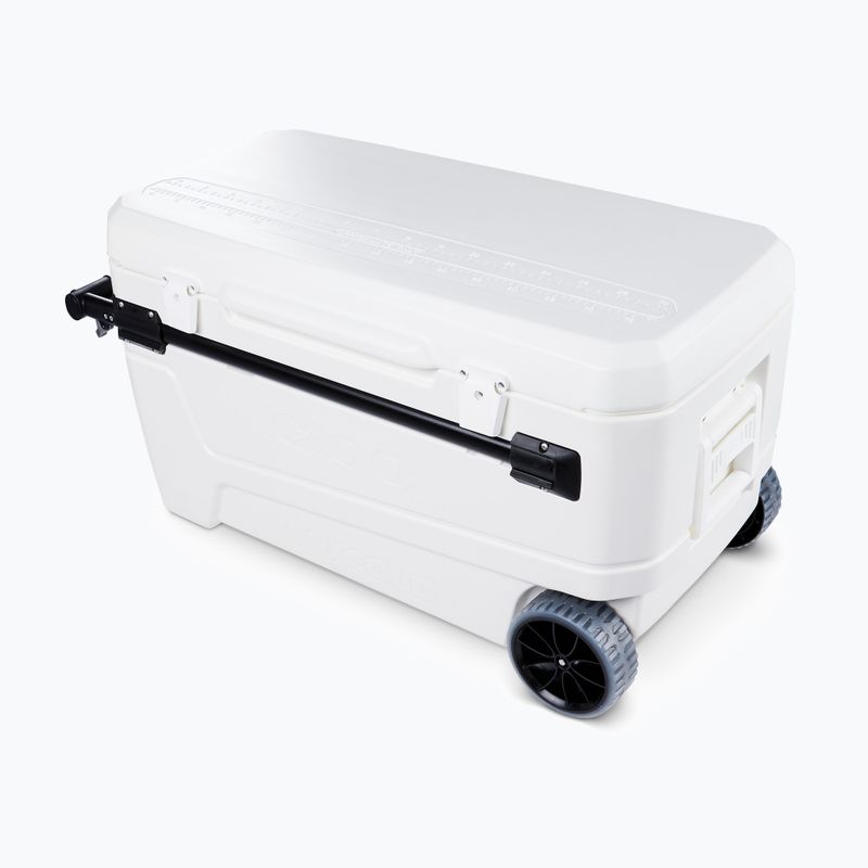 Turistinis šaldytuvas Igloo Sunset Glide 110 104 l white 3