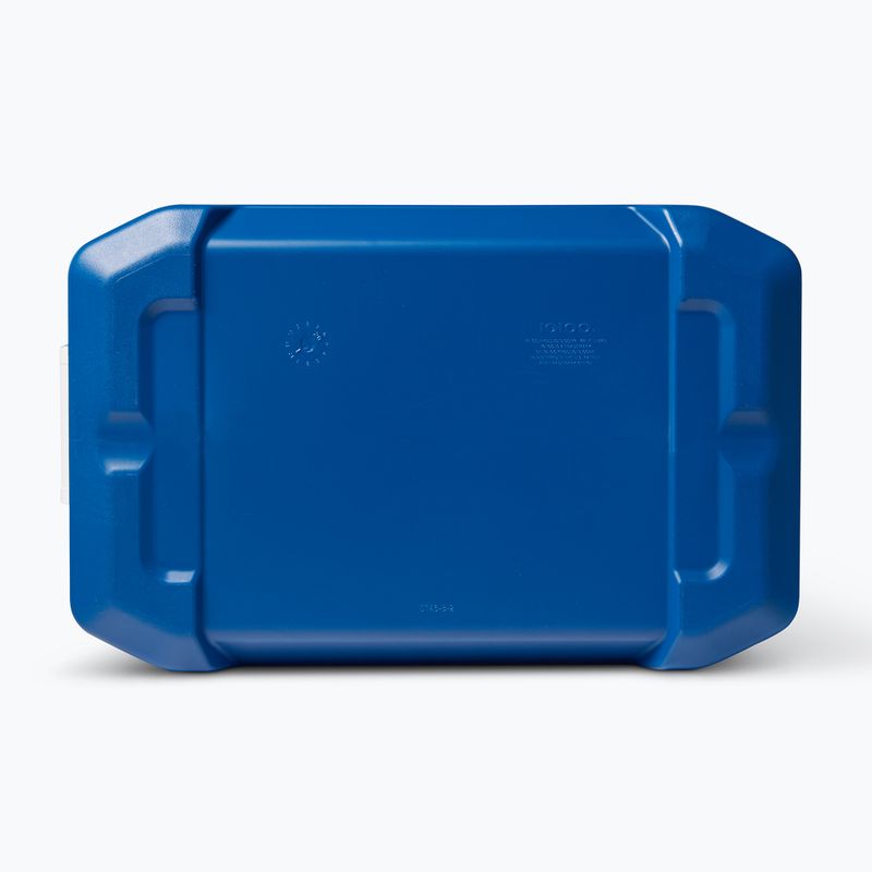 Turistinis šaldytuvas Igloo Latitude 52 49 l ice blue/meteorite 7
