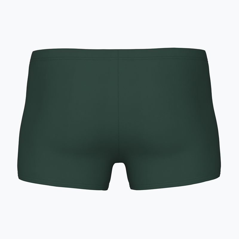 Vyriškos plaukimo trumpikės arena Poseidonia Swim Short dark sage/artic lime 2