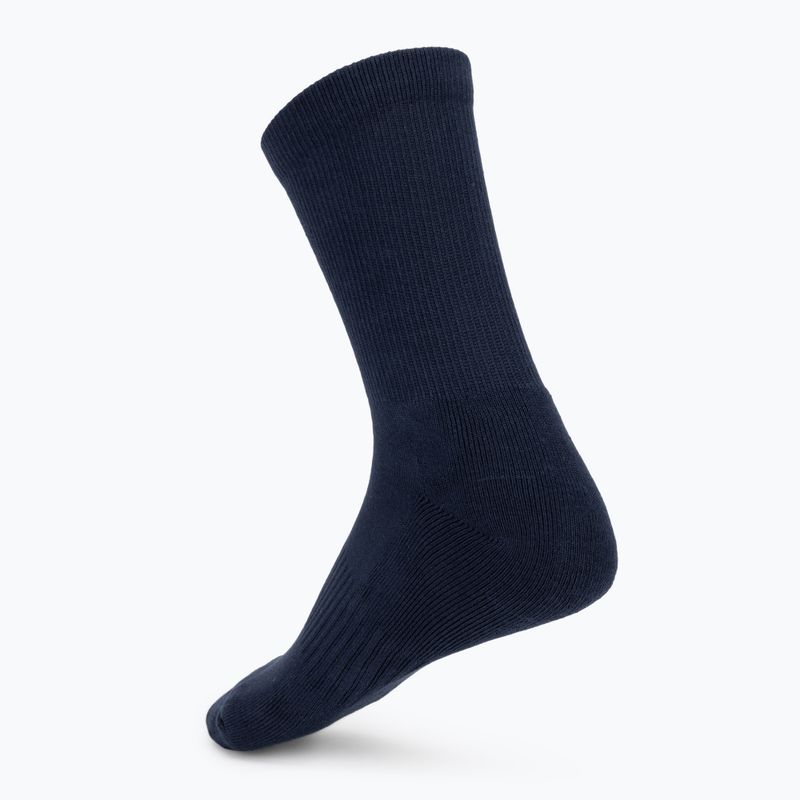 Kojinės Tecnifibre Classic 3 navy blue 2