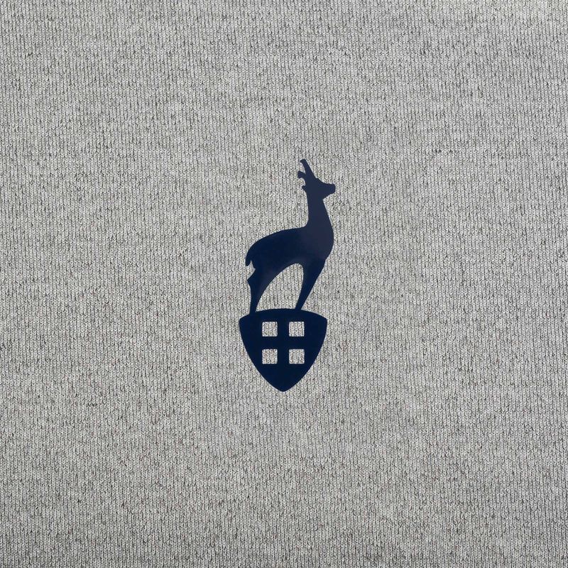 Vyriški marškinėliai Aulp Tommy grey/melange 6