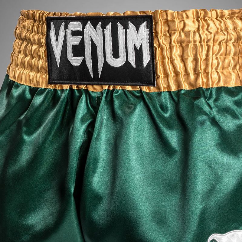 Vyriški treniruočių šortai Venum Classic Muay Thai žalia/auksinė/balta 6