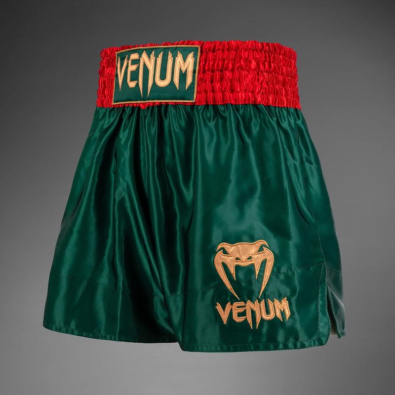 Vyriški treniruočių šortai Venum Classic Muay Thai khaki 3