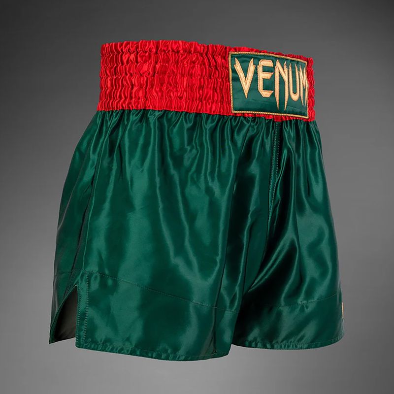 "Venum Classic Muay Thai" chaki spalvos vyriški treniruočių šortai 4