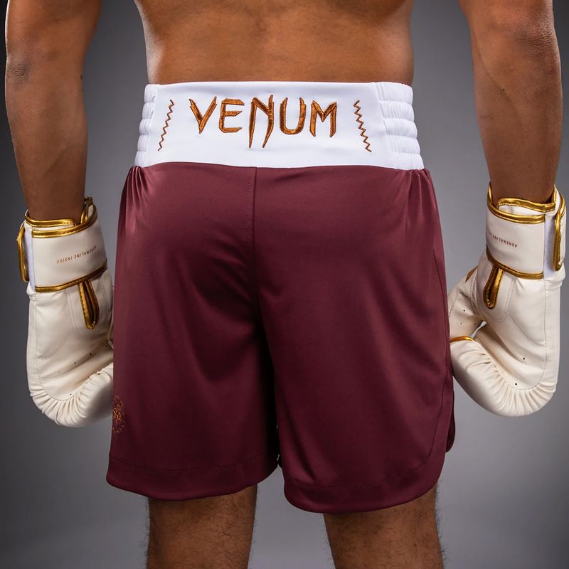 Vyriški treniruočių šortai Venum Classic Boxing burgundy 6