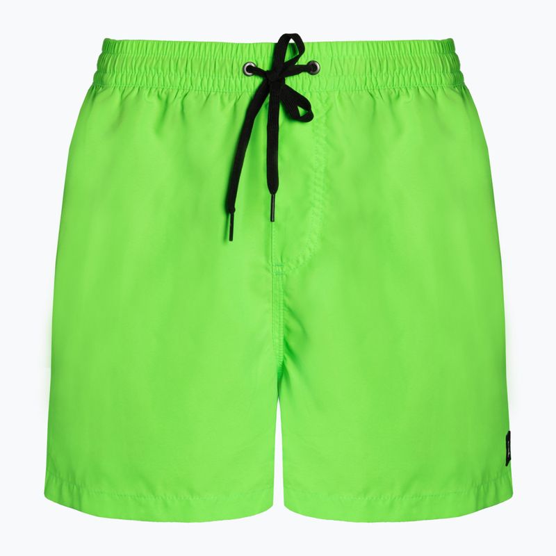 Quiksilver Everyday 15" vyriški maudymosi šortai žali EQYJV03531