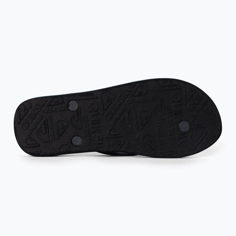 Vyriškos šlepetės Quiksilver Molokai Panel blue 4