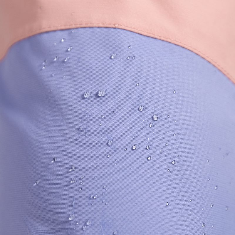 Moteriškos snieglenčių kelnės ROXY Chloe Kim Bib mellow rose 2