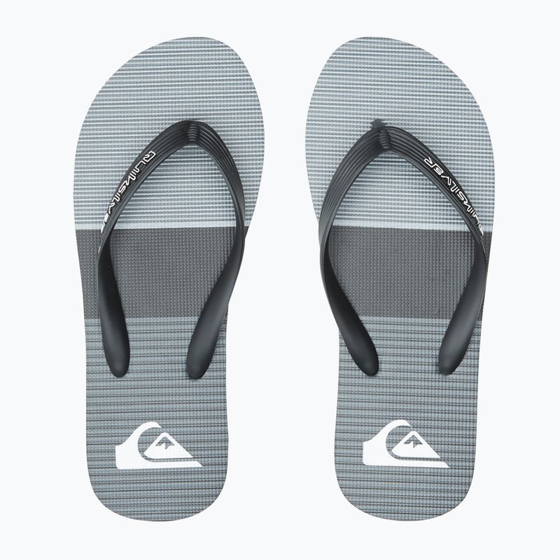 Vyriškos šlepetės Quiksilver Molokai Tijuana grey 12