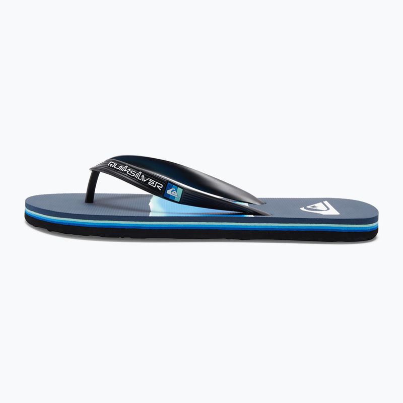 Vyriškos basutės Quiksilver Molokai Airbrushed blue AQYL101317 11