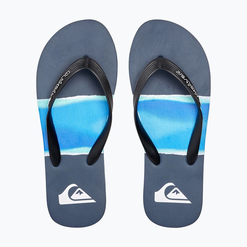 Vyriškos basutės Quiksilver Molokai Airbrushed blue AQYL101317 12