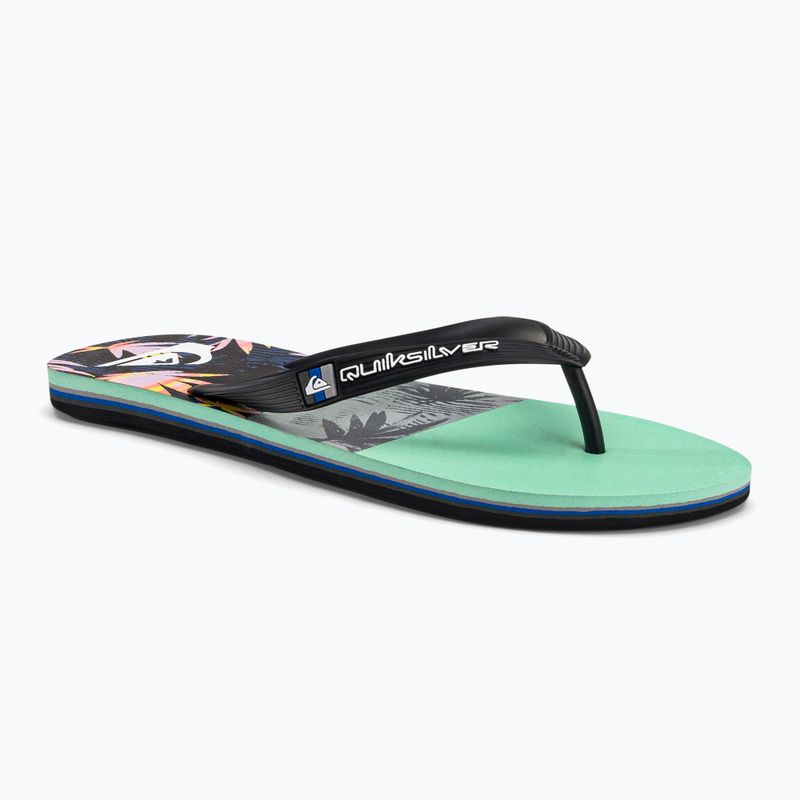 Vyriškos šlepetės Quiksilver Molokai Panel blue AQYL101263-XKBS