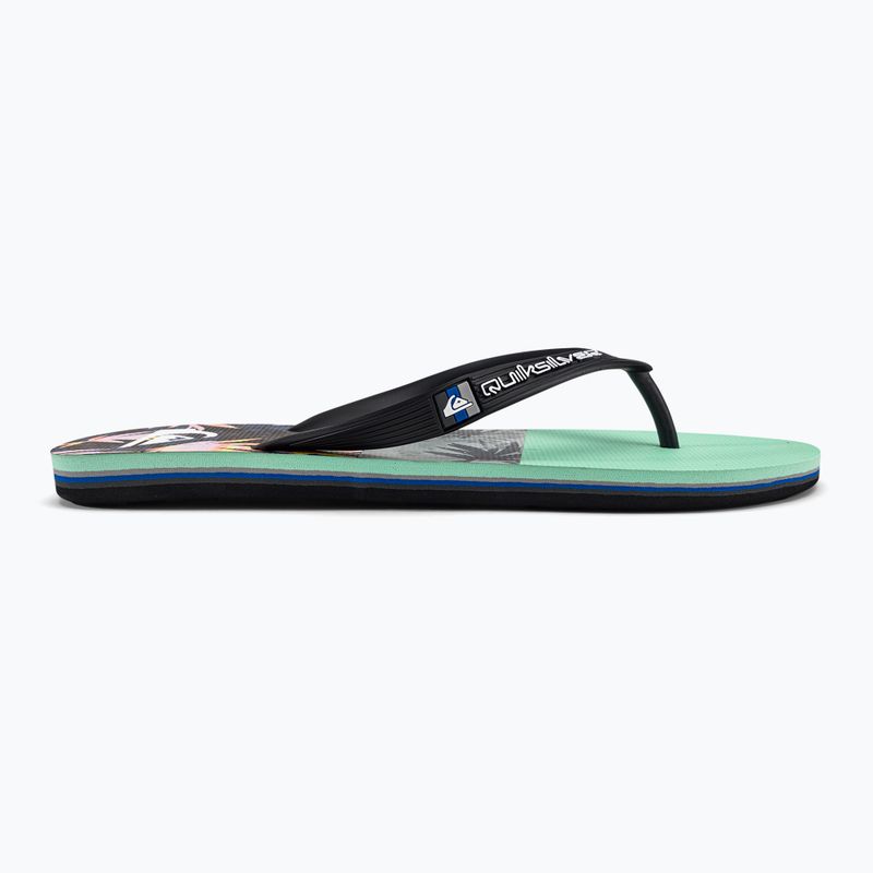 Vyriškos šlepetės Quiksilver Molokai Panel blue AQYL101263-XKBS 2