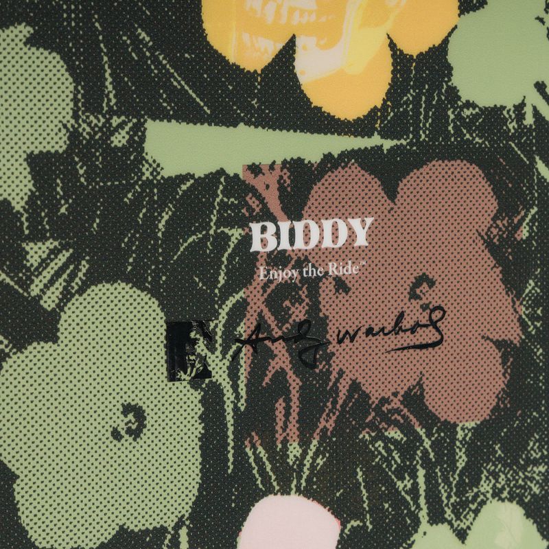 Moterų snieglentės DC AW Biddy in bloom 4
