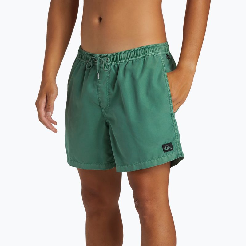 Vyriški maudymosi šortai Quiksilver Everyday Surfwash Volley 15 frosty spurce 6