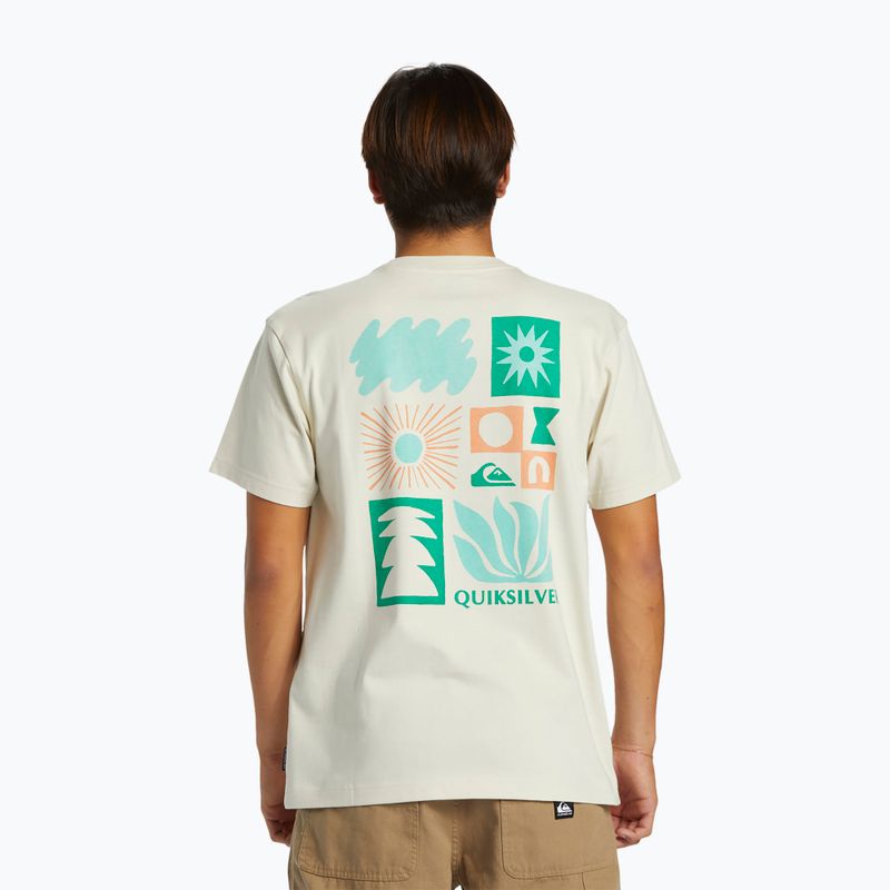 Vyriški marškinėliai Quiksilver Natural Forms Mor silver birch 2