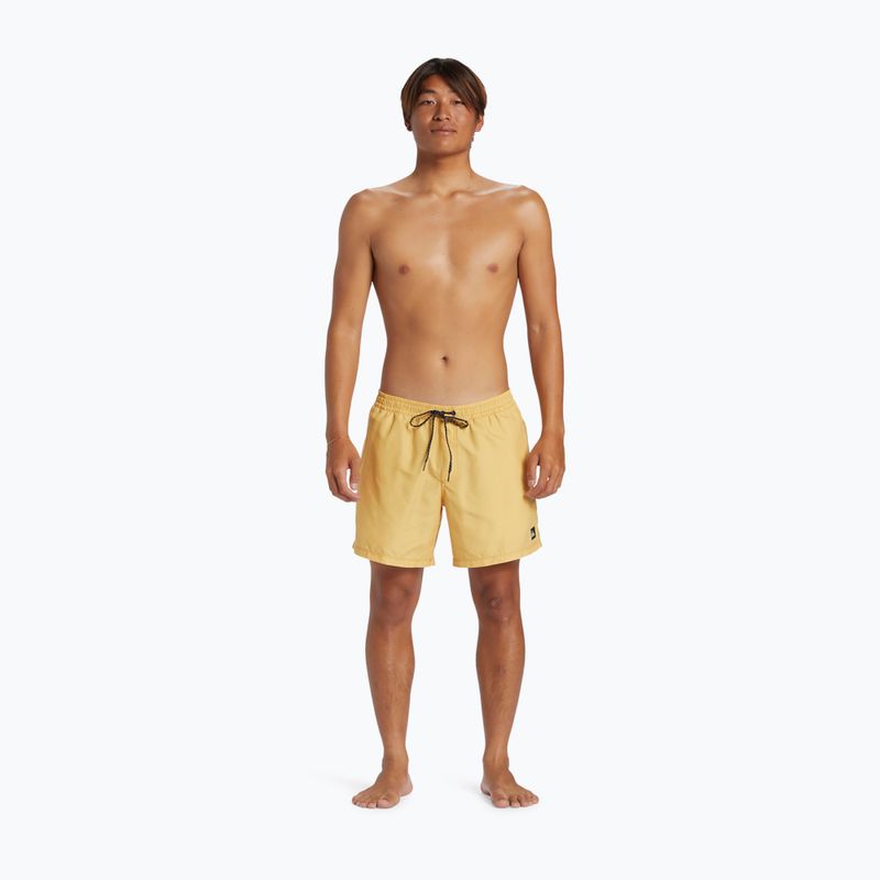 Vyriški maudymosi šortai Quiksilver Everyday Solid Volley 15 4