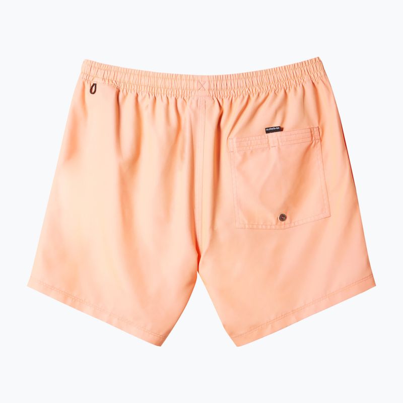 Vyriški maudymosi šortai Quiksilver Everyday Solid Volley 15 2