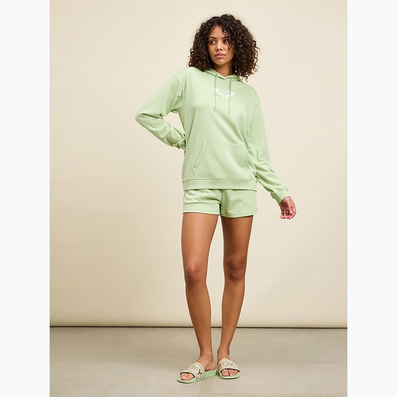 Moteriškos šlepetės ROXY Slippy II green stripe 4