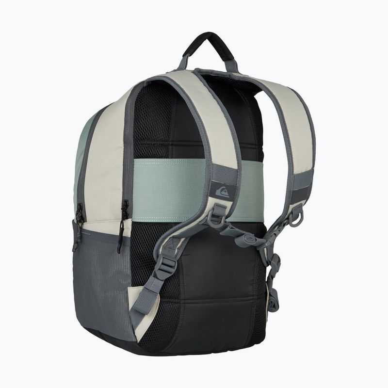 Miesto kuprinė Quiksilver Freeday 20 l bran 3