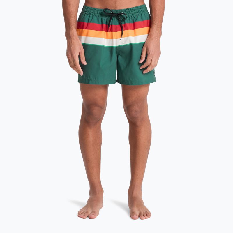 Vyriški maudymosi šortai Quiksilver Everyday Printed Volley 15" forest outside stripe 3
