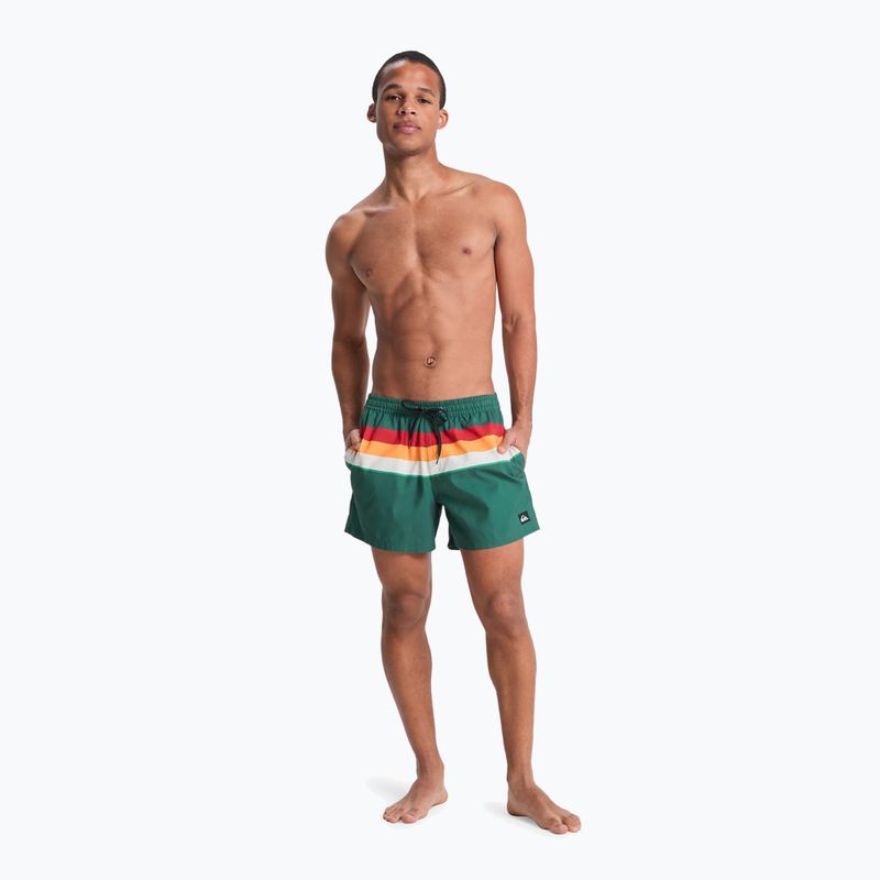 Vyriški maudymosi šortai Quiksilver Everyday Printed Volley 15" forest outside stripe 4