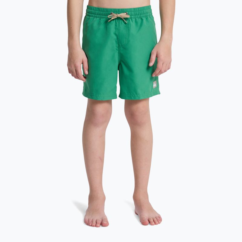 Vaikiški maudymosi šortai Quiksilver Everyday Volley 14" leprechaun 3