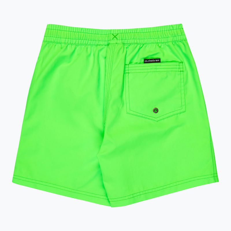 Vaikiški maudymosi šortai Quiksilver Everyday Volley 14" green gecko 2