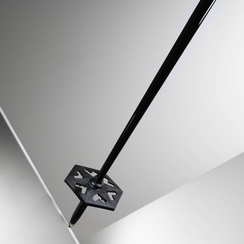 Slidinėjimo lazdos Black Crows Oxus black/pink 9