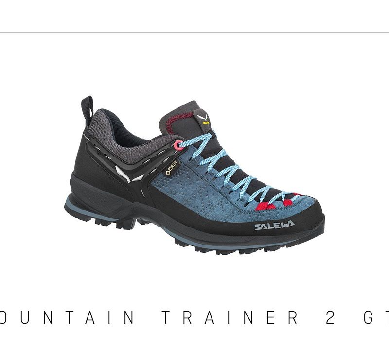 Moteriški trekingo batai Salewa MTN Trainer 2 GTX navy blue 00-0000061358 10