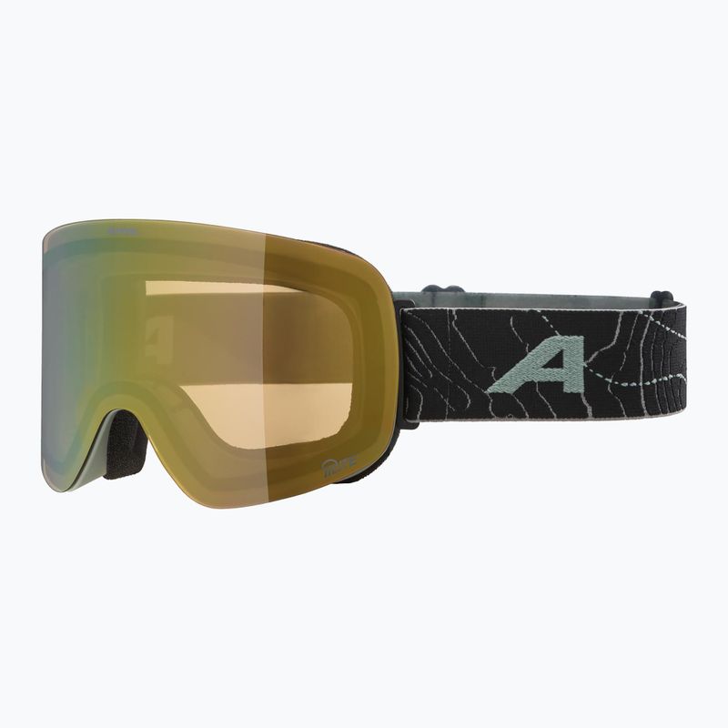 Slidinėjimo akiniai Alpina Penken Q-Lite willow/ green matt/ gold 5