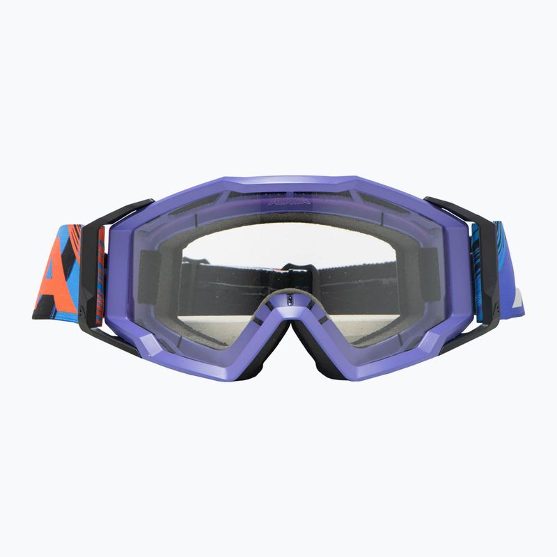 Dviračio akiniai Alpina Circus purple scratch/ purple matt/ clear 2