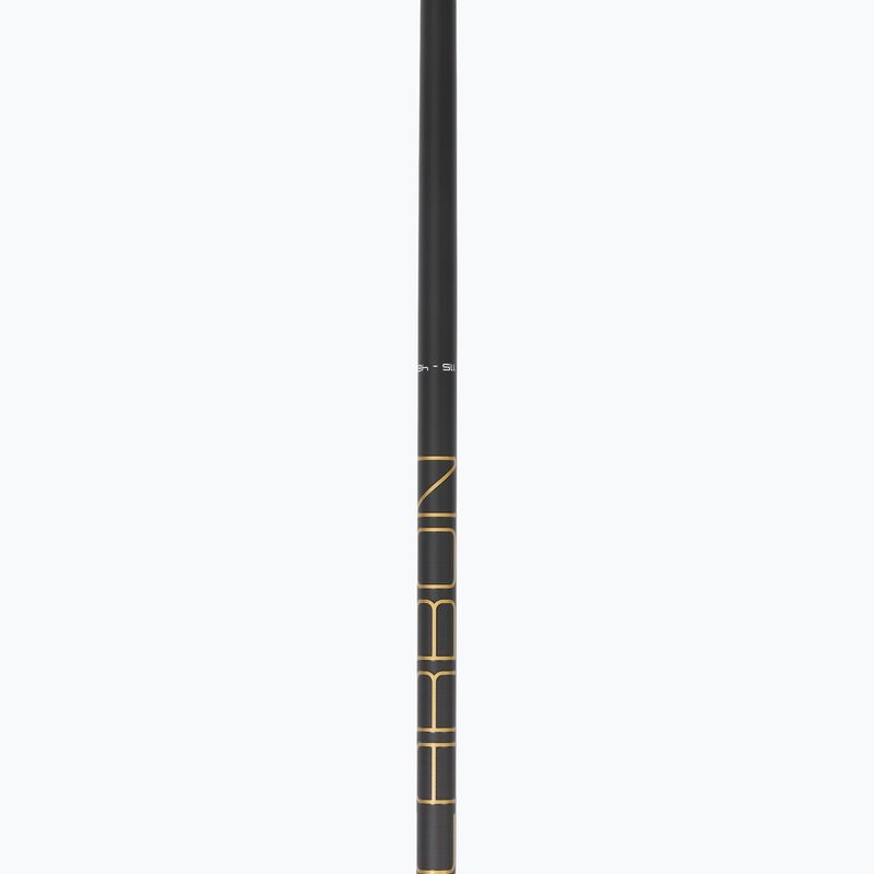 Moteriškos slidinėjimo lazdos LEKI Carbon 14 3D natural carbon/ white/ gold 4