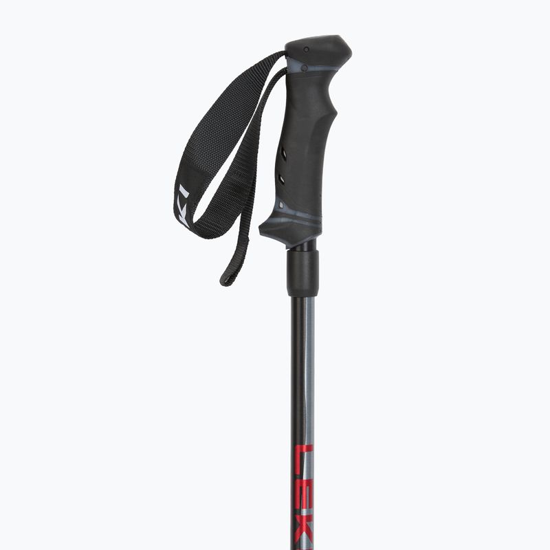 Slidinėjimo lazdos LEKI Hot Shot anodized black/eloxal gray/eloxal red 2