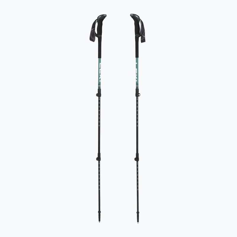 Žygio lazdos LEKI Makalu Lite malachite green/dark malachite green/white