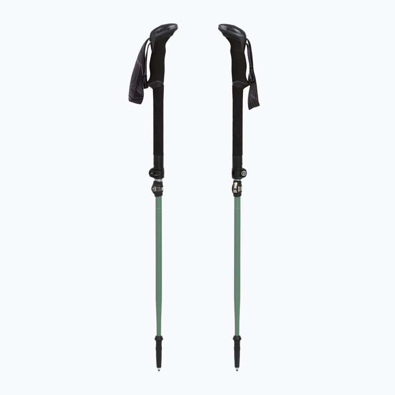 Žygio lazdos LEKI Makalu FX TA silver/greygreen/white 5