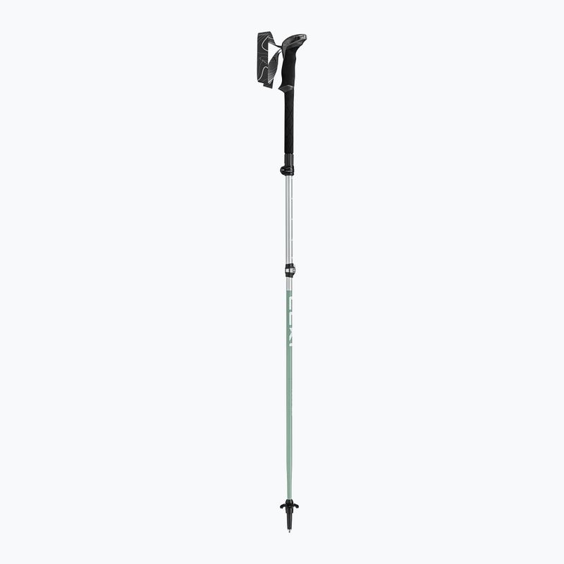 Žygio lazdos LEKI Makalu FX TA silver/greygreen/white 2