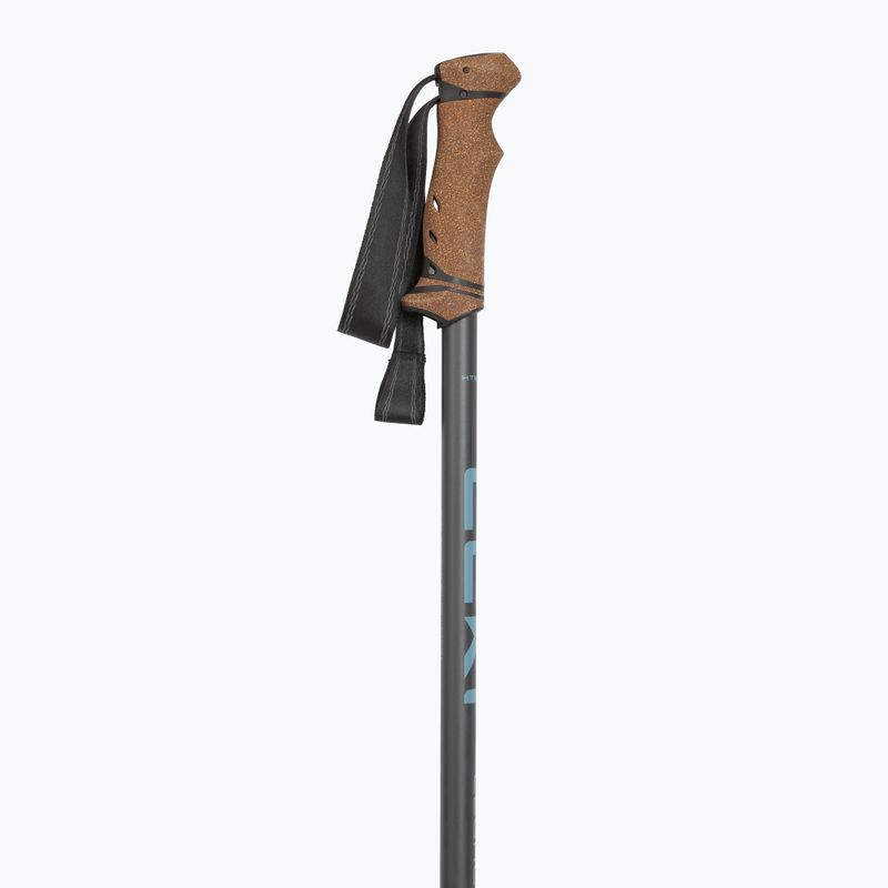 Žygio lazdos LEKI Legacy greyblue/dark anthracite 2