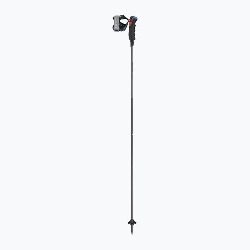 Slidžių lazdos LEKI Carbon 12 TR black 2